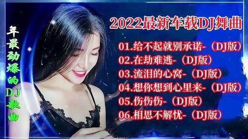 网红音乐dj版,网红DJ版音乐狂欢解析