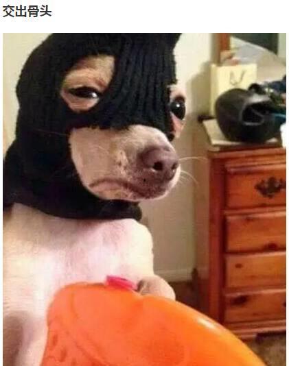 唱歌难听的搞笑段子,那些唱歌难听的搞笑瞬间