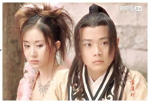 宝莲灯电视剧演员表,经典角色背后的精彩故事