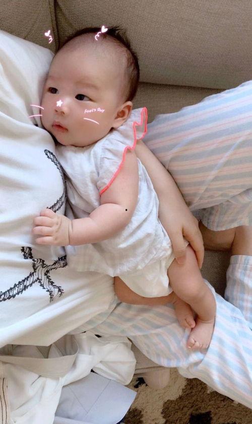 网红雪梨拍照风格,时尚与自然的完美融合